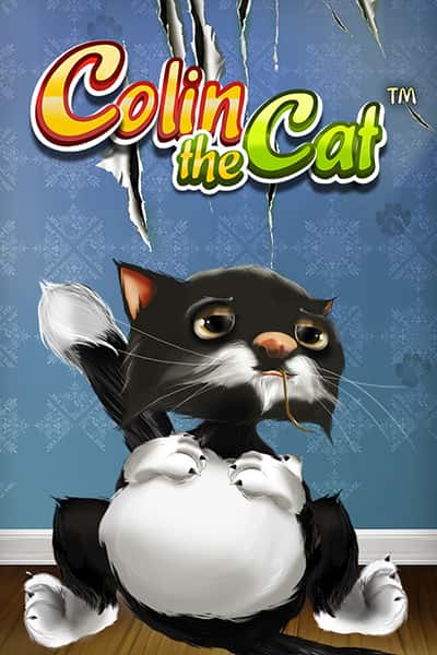Colin The Cat